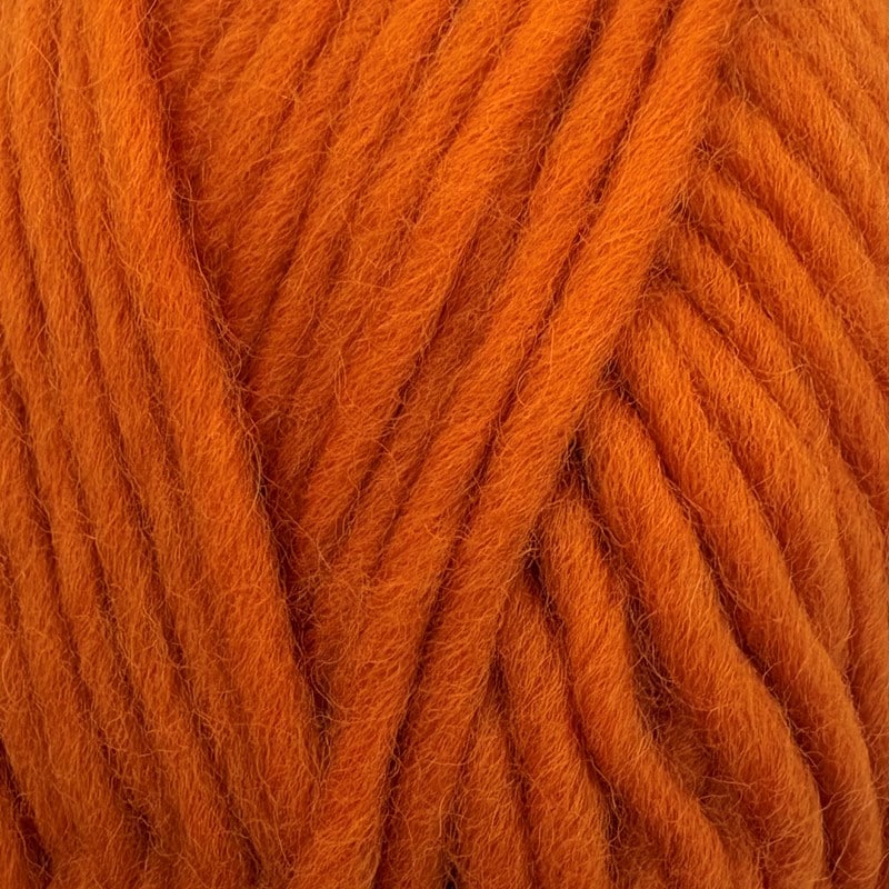 5568