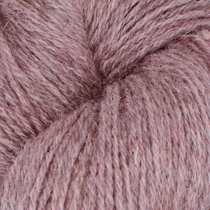 S003