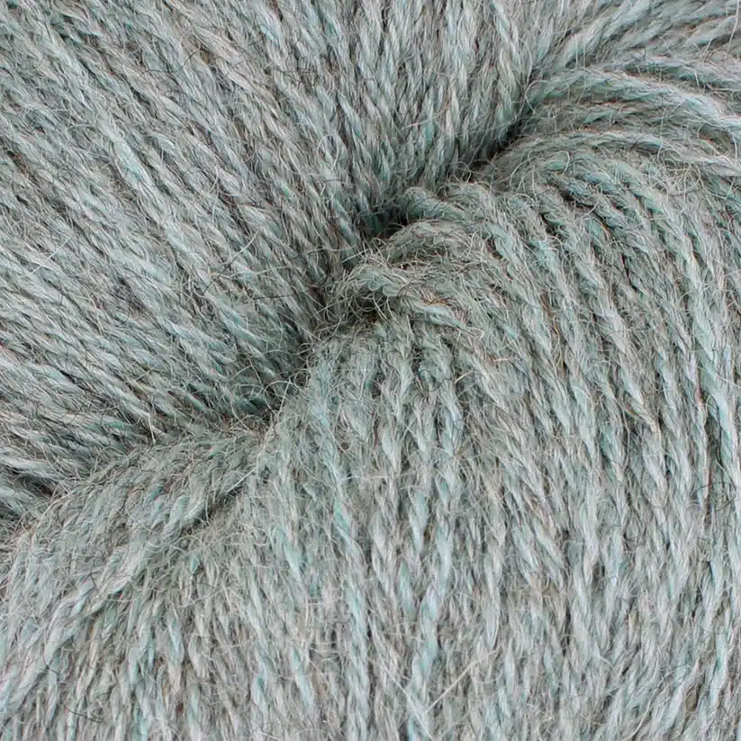 S004