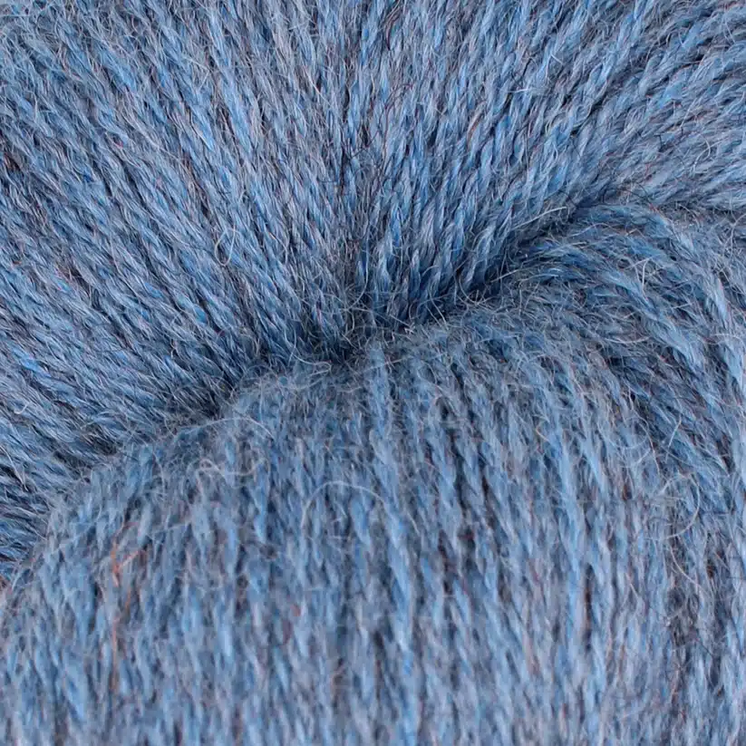 S009