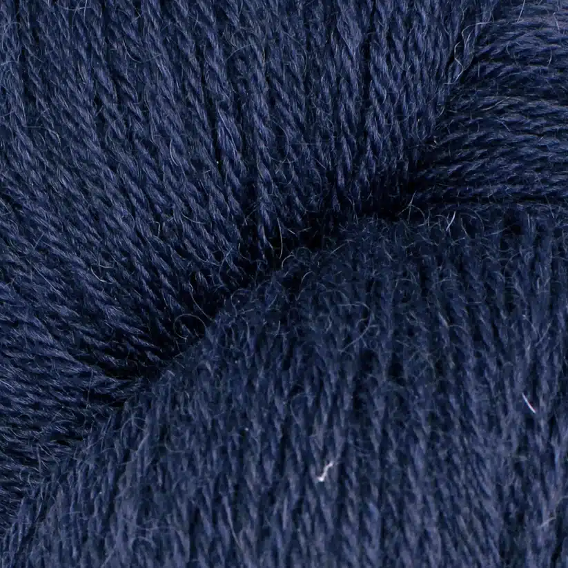 S010